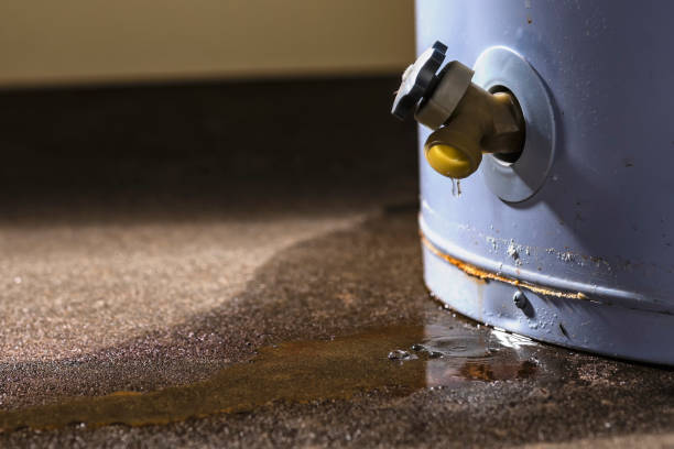 Best Water damage contractors near me  in Santa Moni, CA