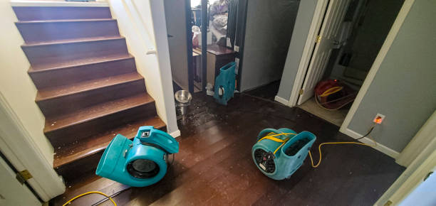 Best 24/7 water damage repair  in Santa Moni, CA