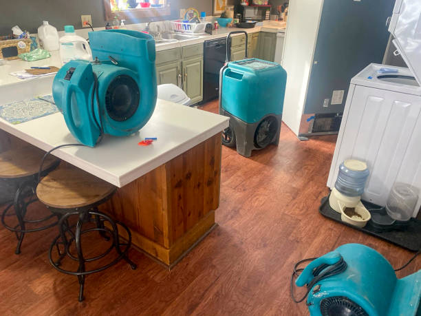 Best Water damage cleanup near me  in Santa Moni, CA