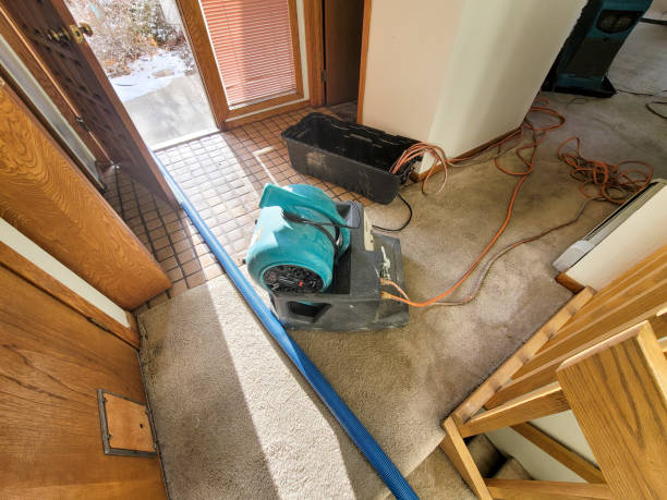  Santa Moni, CA Water damage restoration Pros