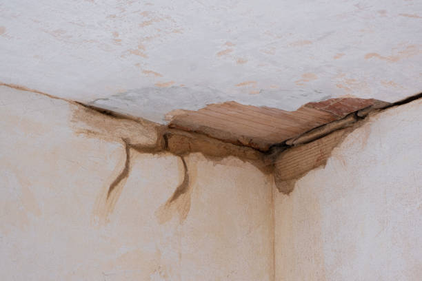 Best Ceiling water damage repair  in Santa Moni, CA