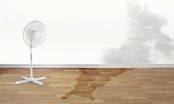Best Fire Damage Restoration  in Santa Moni, CA