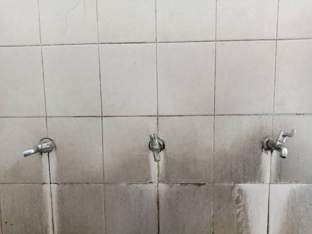 Best Flood restoration services  in Santa Moni, CA
